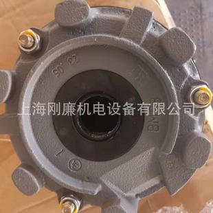 SEW制动器BMG110NmWB:2300867129X