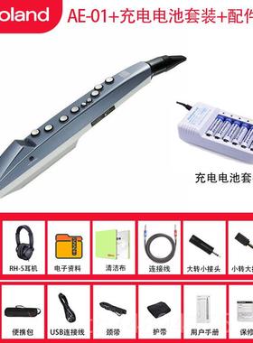 正品R1oland罗兰器电吹管乐AE0C AE0管5电子萨克斯娱乐初学乐葫芦