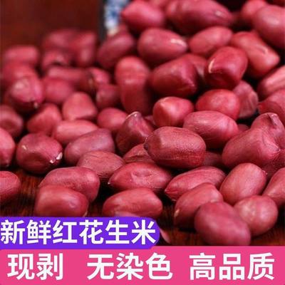 广西红皮花生米农家小粒新鲜四粒红衣花生2024年新花生米生的新货
