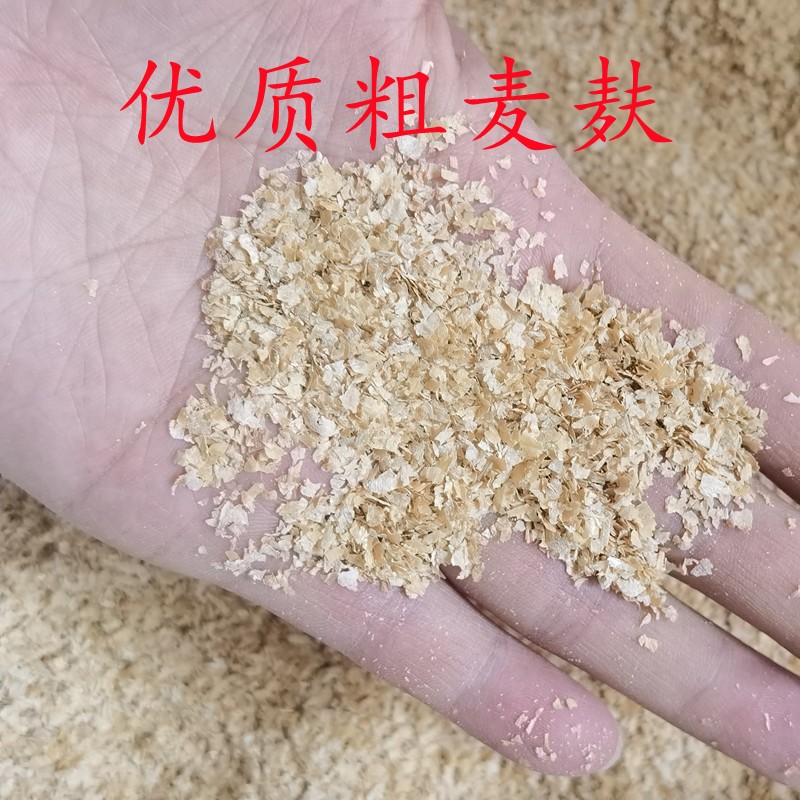 新鲜纯小麦麸皮大片优质粗麦麸黄粉虫鸡鸭猪饲料原料钓鱼打窝热敷