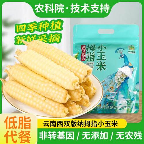 拇指玉米西双版纳傣家香糯手指小玉米孕妇儿童即食宝宝辅食小玉米