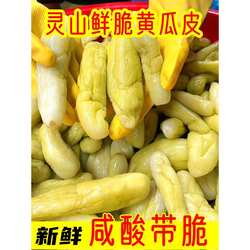广西灵山特产咸菜瓜皮酸脆爽开胃钦州浦北博白武利黄瓜皮真空包装