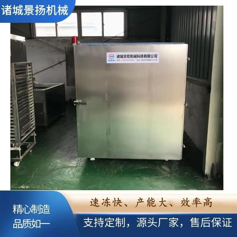 商用柜式速冻机液氮速冻柜生产厂家榴莲鸡翅海鲜水果速冻设备