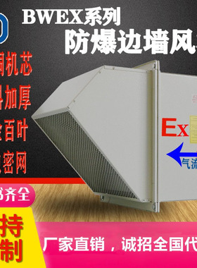 防爆边墙风机方形防雨罩带防虫网自垂百叶壁装BWEX边墙式轴流风机