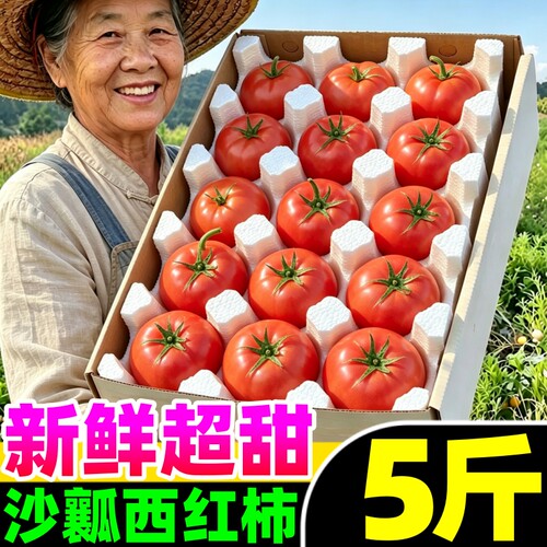 【新鲜西红柿热卖榜】官方推荐