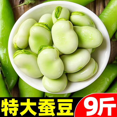 【新鲜蚕豆热卖榜】官方推荐