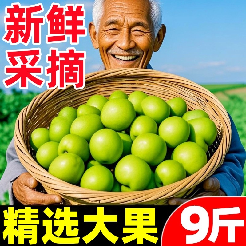 福建牛奶枣大青枣新鲜水果当季现摘贵妃苹果枣奶油枣特大号冬枣子,水产肉类/新鲜蔬果/熟食,枣,淘宝优惠券,粉丝福利购,淘宝优惠卷