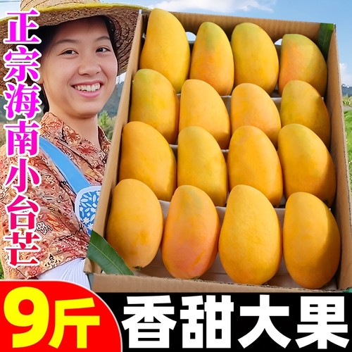 【小台农芒果热卖榜】官方推荐