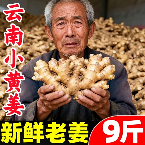 【小黄姜热卖榜】官方推荐