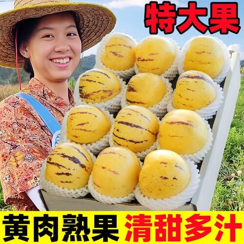 【人参果热卖榜】官方推荐