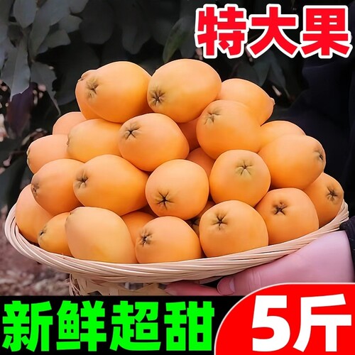【新鲜枇杷热卖榜】官方推荐