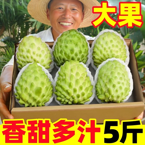 【释迦果热卖榜】官方推荐