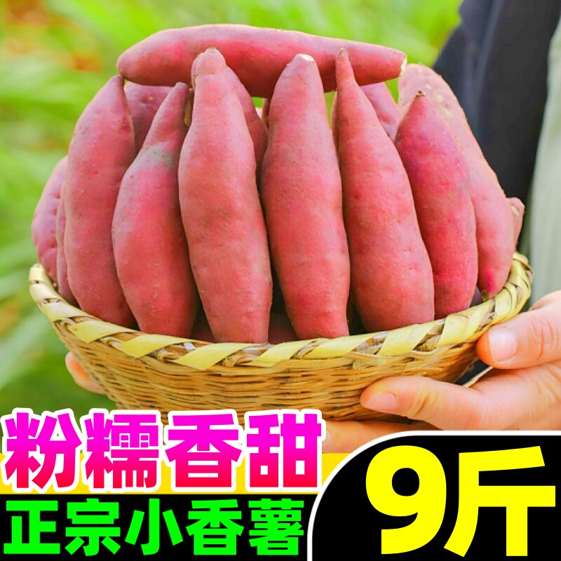 板栗红薯新鲜小香薯旗舰店番薯地瓜蜜薯小红薯板栗薯非临安天目山