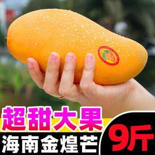 海南金煌芒新鲜芒果9斤当季热带水果大青芒超大特大水仙芒果包邮
