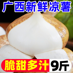 广西凉薯新鲜现挖白心地瓜沙葛水果蔬菜农家番薯即食脆甜10斤大果