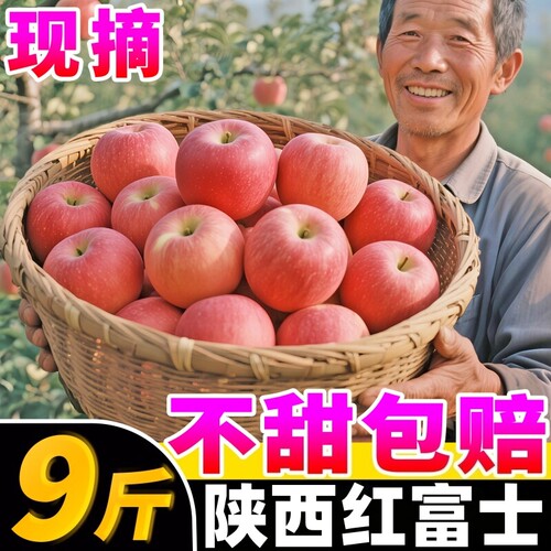 【新鲜苹果热卖榜】官方推荐