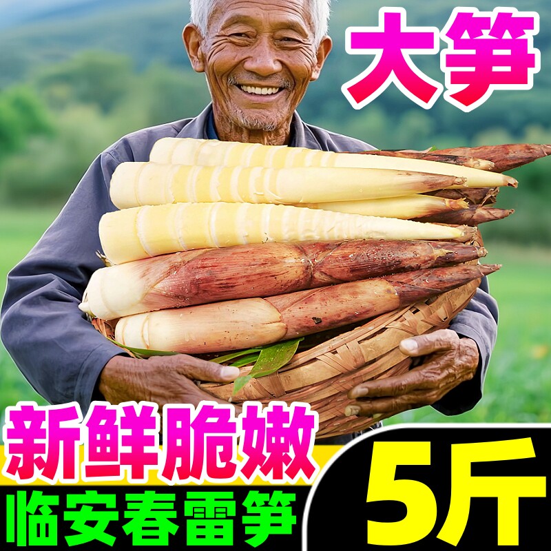 浙江临安春雷笋5斤新鲜现挖竹笋嫩芽笋油焖笋鲜笋冬笋酱笋毛竹笋