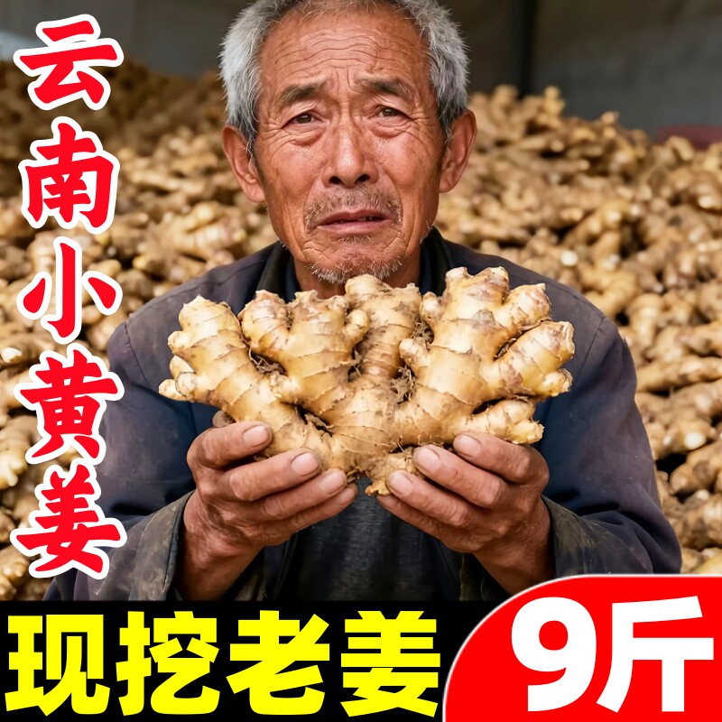 【小黄姜热卖榜】官方推荐