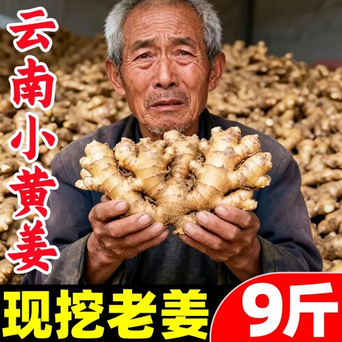 【小黄姜热卖榜】官方推荐