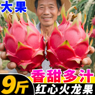 广西火龙果红心新鲜10斤当季海现摘南孕妇水果金都一号整箱红肉果