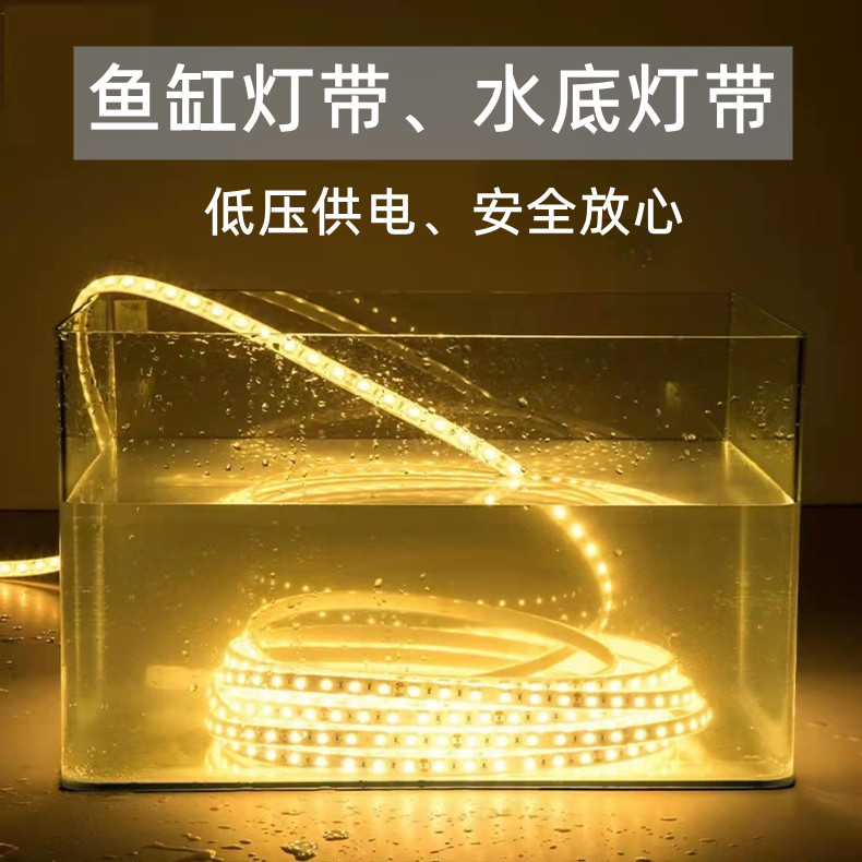 鱼缸水缸灯带水底灯条led低压安全12v24v实心灌胶防水可泡水家用