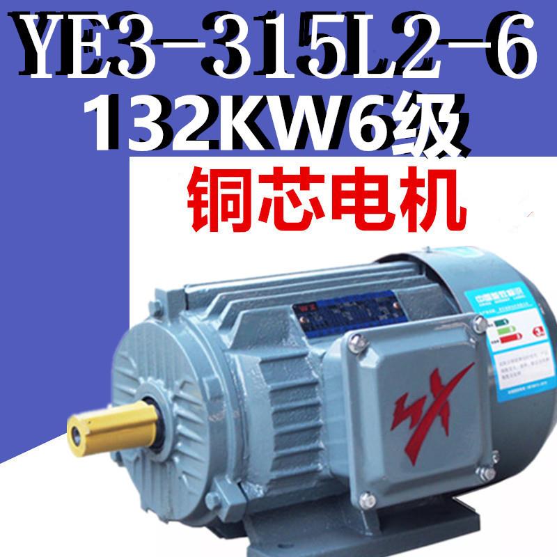 132KW6级电机YE3-315L2-6极三相异步电动机千瓦国标380V二级YX3E2