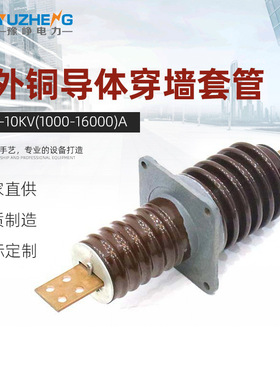 厂家CWC-10KV(1000-16000)A户外铜导体穿墙套管 铜导体穿墙套管