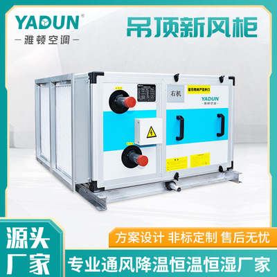 雅顿工厂直供吊顶风柜空气处理机组新风组合远程风柜空调末端设备