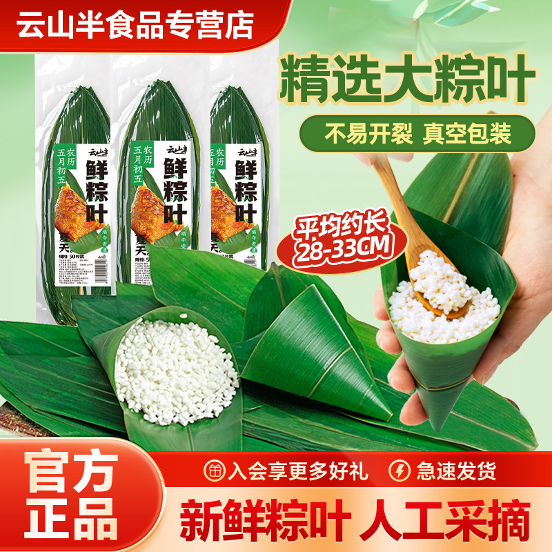 云山半新鲜粽子叶50片装