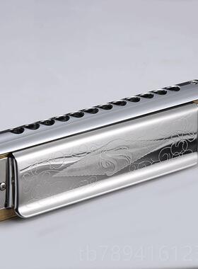 高档SWN天鹅1A9482成人儿童初生学专业演奏乐器12孔8音半音阶口琴