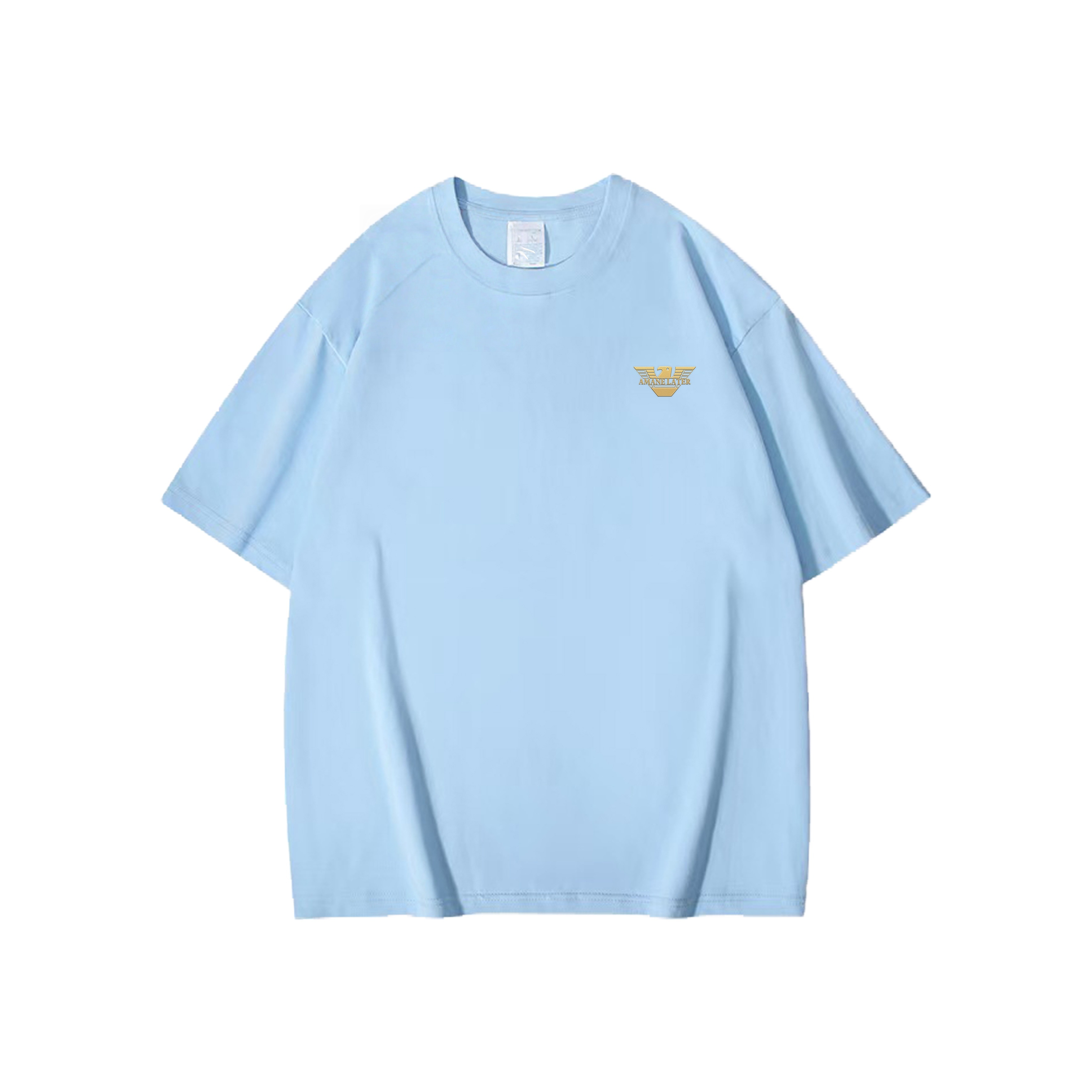 ɫ 165(M) ߼ԲT2025ļ¿аCH13