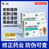 修正 宠物马来酸氯苯那敏片猫咪狗狗皮肤病皮炎瘙痒抗过敏止痒药