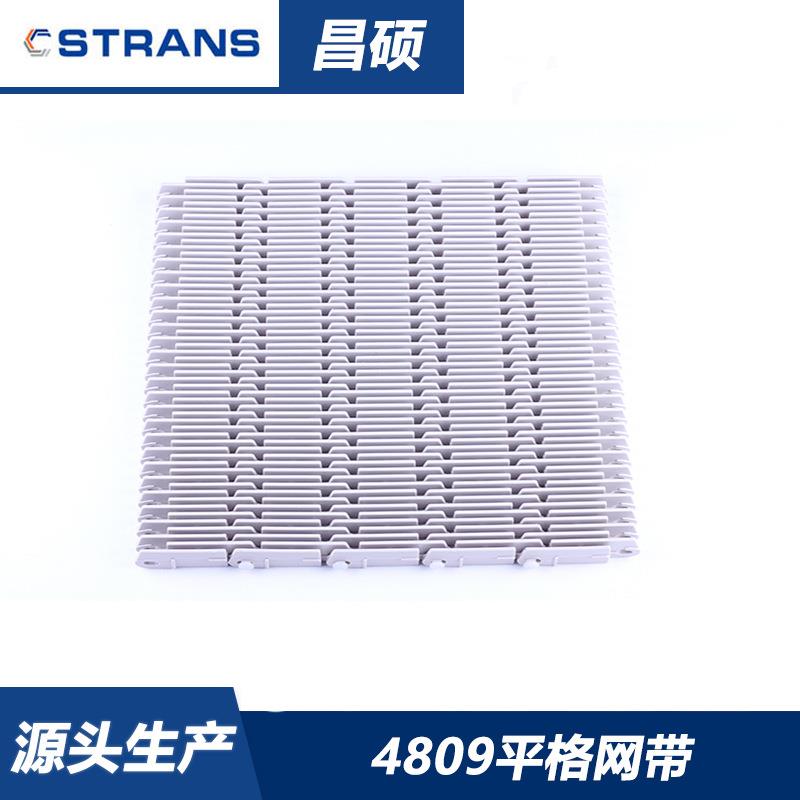 厂家销售4809平格网带喷淋杀菌食品级柔性网带输送突肋塑料网带