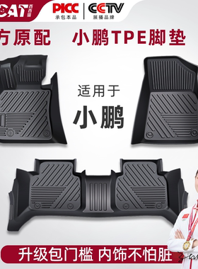 西西猫小鹏TPE包门槛脚垫