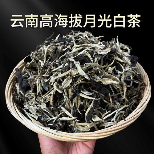 云南古树1斤装袋装清香回甘