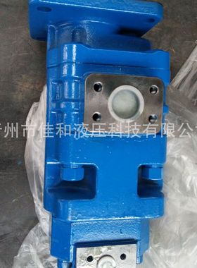 9F561-54A090000A0双联齿轮泵