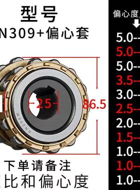 整体偏心轴承RN309M减速机轴承 双排圆柱滚子轴承