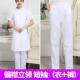 短袖 正品 白套装 夏娃季 工作制服女医生褂白色 护士服立领圆领大长袖