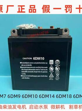 6DM18 6DM7 9 6DM10 6DM21蓄电池12V发电机水泵微耕机割草机电瓶