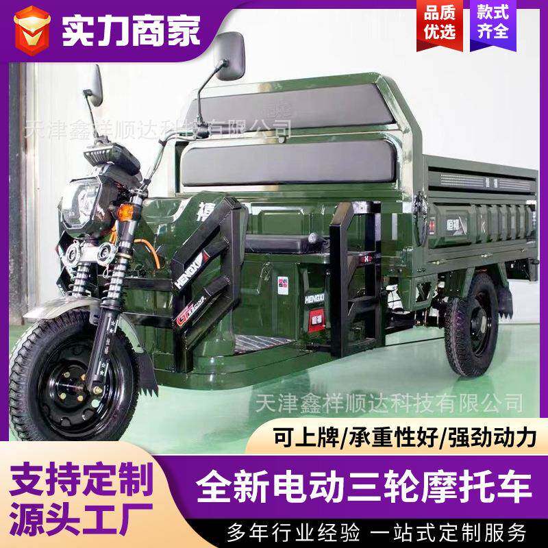厂家直销电动三轮车动力强劲载重王家用农用货运质量保证可上牌