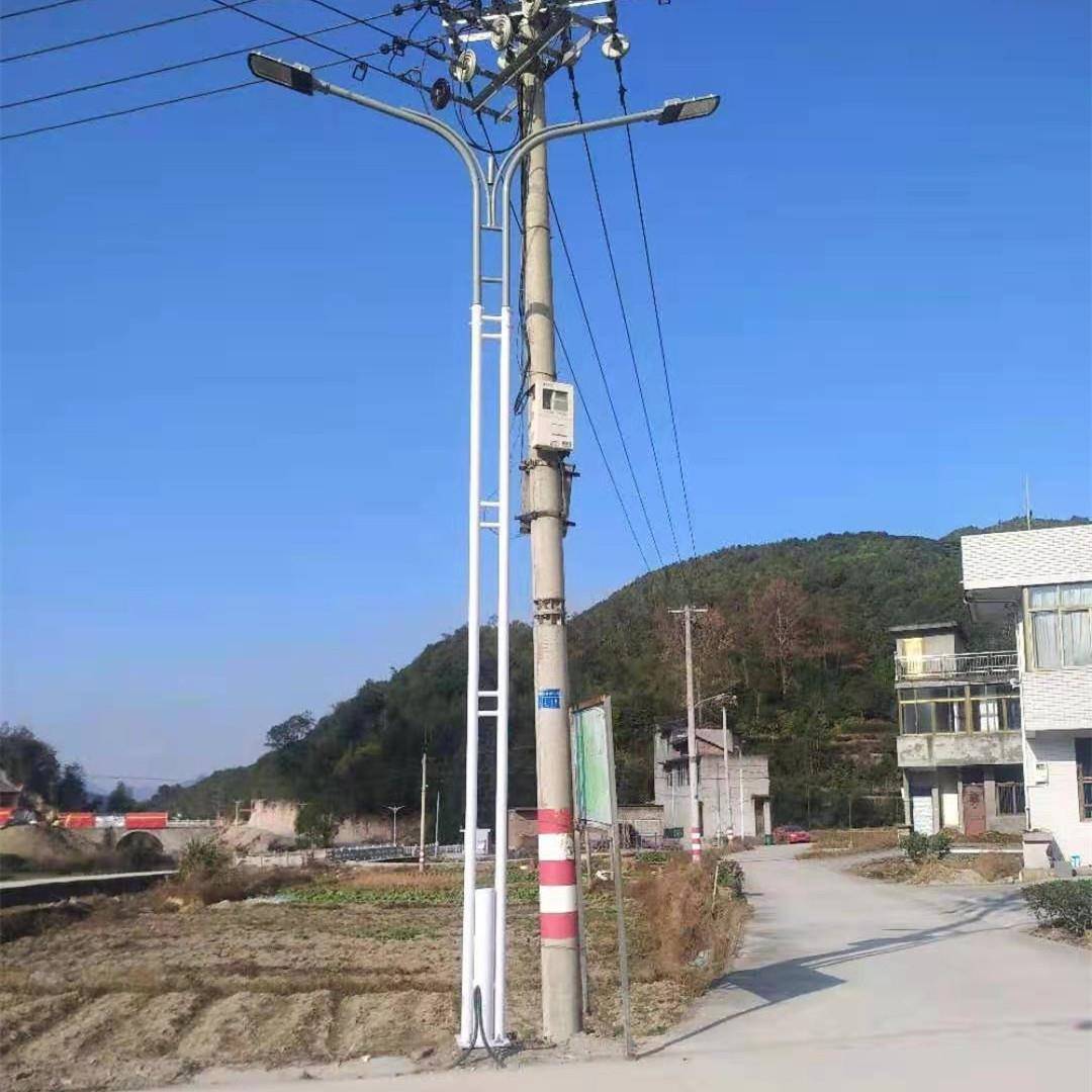 厂家供应LED12米异形照明路灯LED10米双头路灯8米路灯灯杆厂家