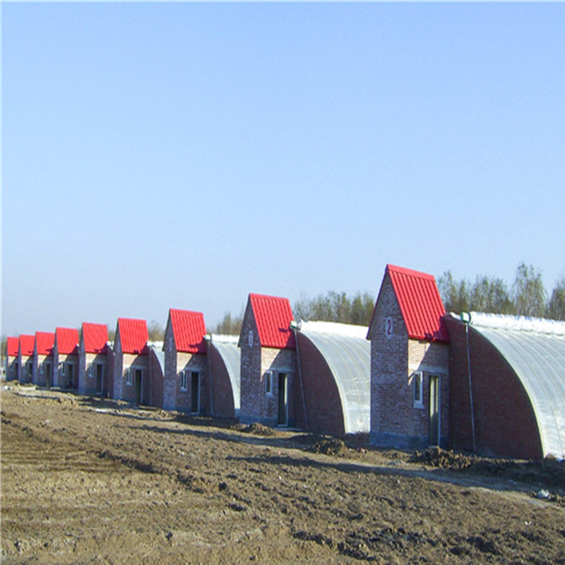 无后墙全钢管式日光温室大棚花卉种植展览育苗基地专业生产厂家,模玩/动漫/周边/娃圈三坑/桌游,文化/体育周边,淘宝优惠券,粉丝福利购,淘宝优惠卷