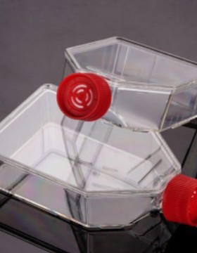 赛普803075 T75c㎡ TC细胞培养瓶袋装灭菌红色透气盖