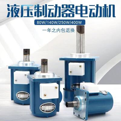 河南达圣 B112Z电机 400W 制动器微型电机 推动器电机