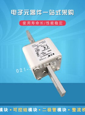 巴斯曼熔断器保险丝170M4660 4661 4662 4663 4664 4665 4666全新