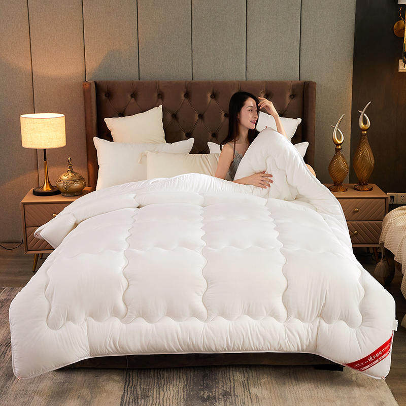 被芯枕芯三件套冬天被子冬被芯双人加厚保暖学生宿舍单人枕头春被,床上用品,化纤被,淘宝优惠券,粉丝福利购,淘宝优惠卷