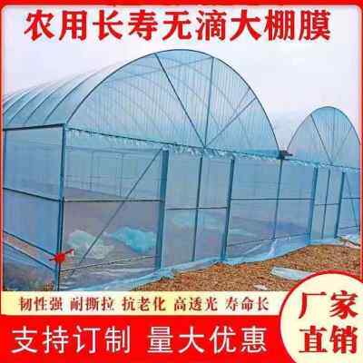 新品厂销无滴膜抗老化加厚大x棚膜PO膜防水保温蔬菜加厚养殖黑品