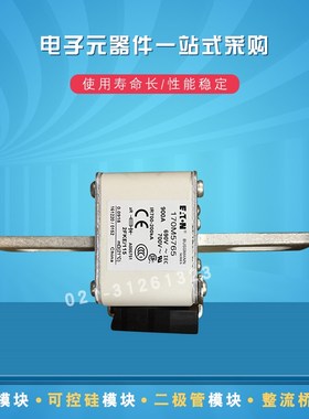 快速熔断器保险丝170M5767 5768 5775 5776 5804 5805 5806 5807