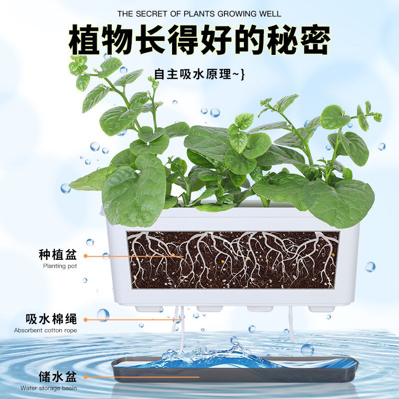 窄边阳台家用种菜盆长方形自吸水花盆塑料盆栽神器草莓专用盆加深