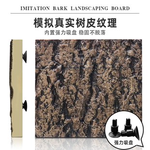 饰睫角守宫蜥蜴宠物蛇爬宠缸爬箱 爬宠饲养箱背景板雨林生态造景装
